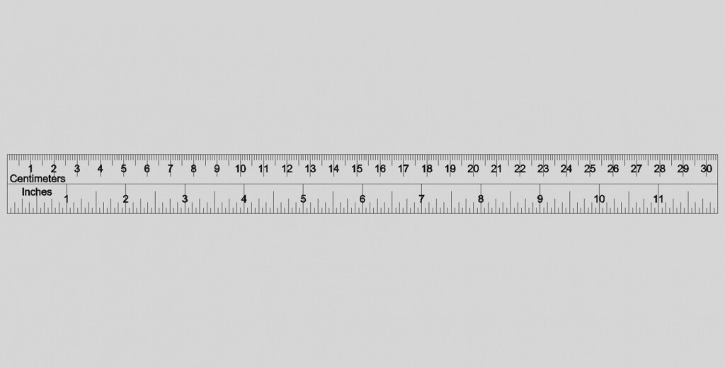 6 Inch Printable Ruler