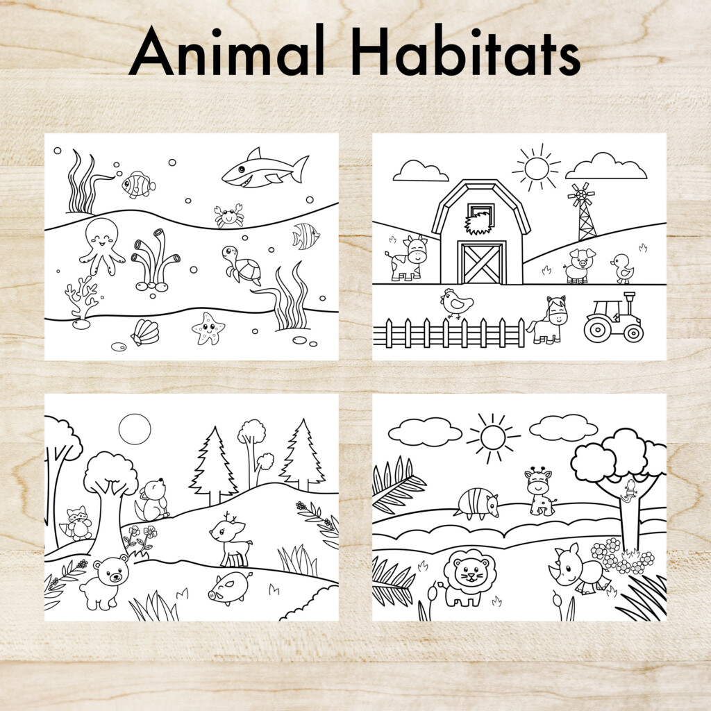 Animal Habitat Pictures Printables
