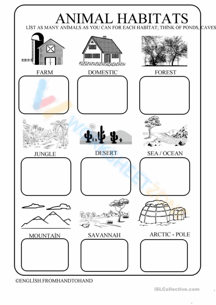 Animal Habitats Worksheets