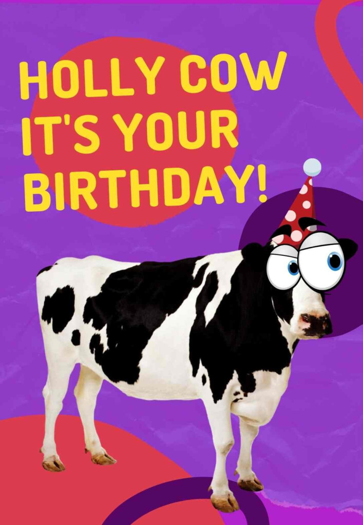 Cow Printable Birthday Cards PRINTBIRTHDAY CARDS