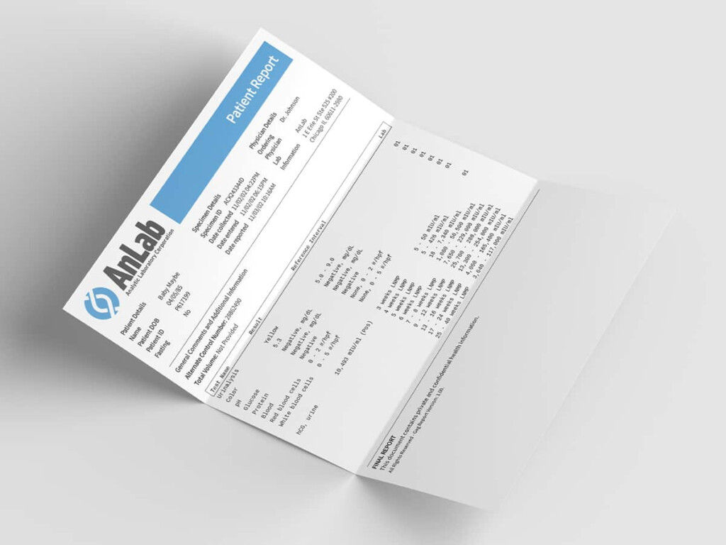 Customized Fake Pregnancy Document From 3 Weeks Baby Maybe