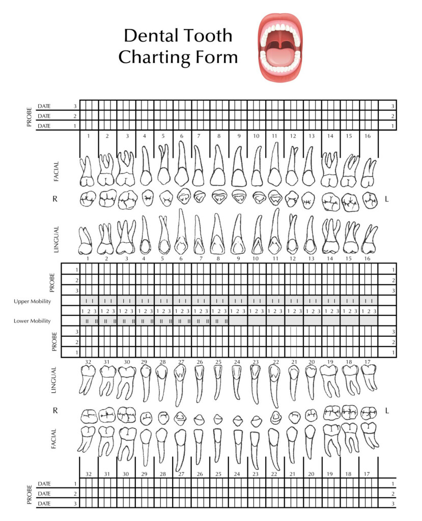 Free Printable Blank Perio Chart Printable Templates