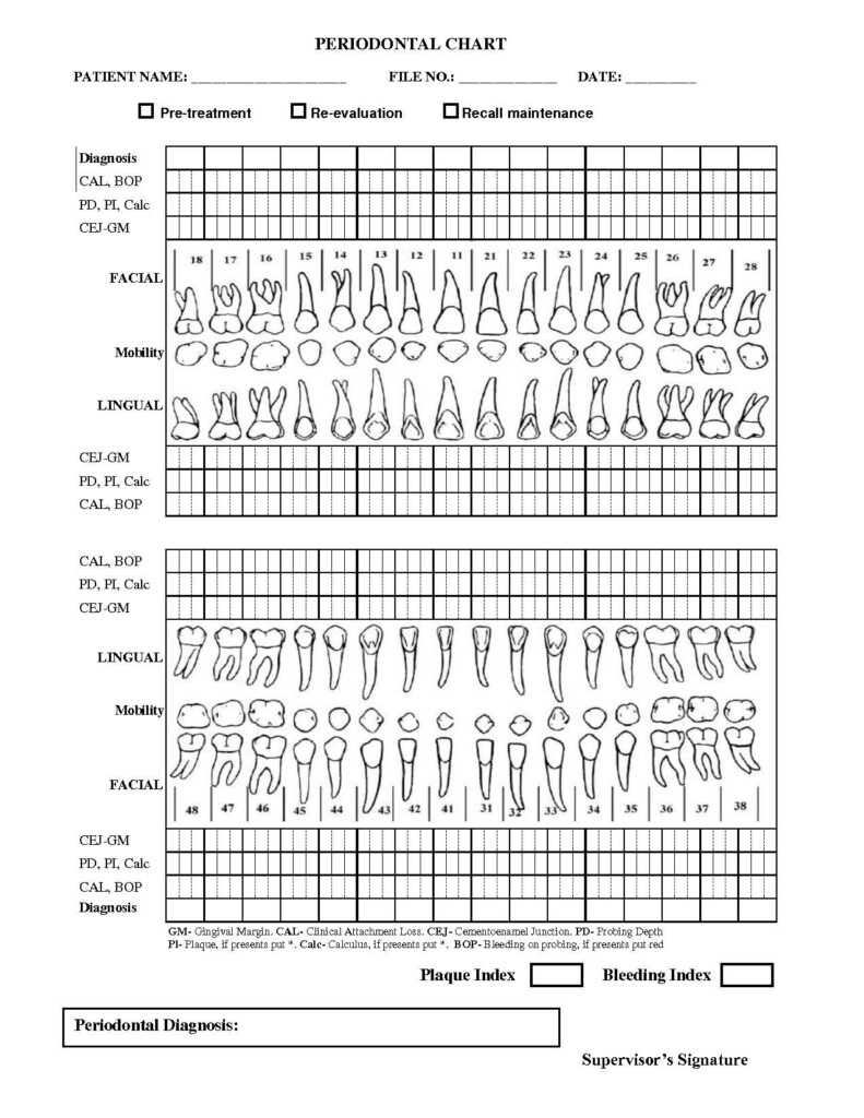 Free Printable Blank Perio Chart Printable Word Searches