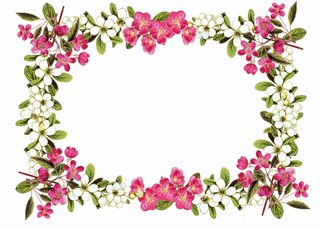 Png Flower Border ClipArt Best