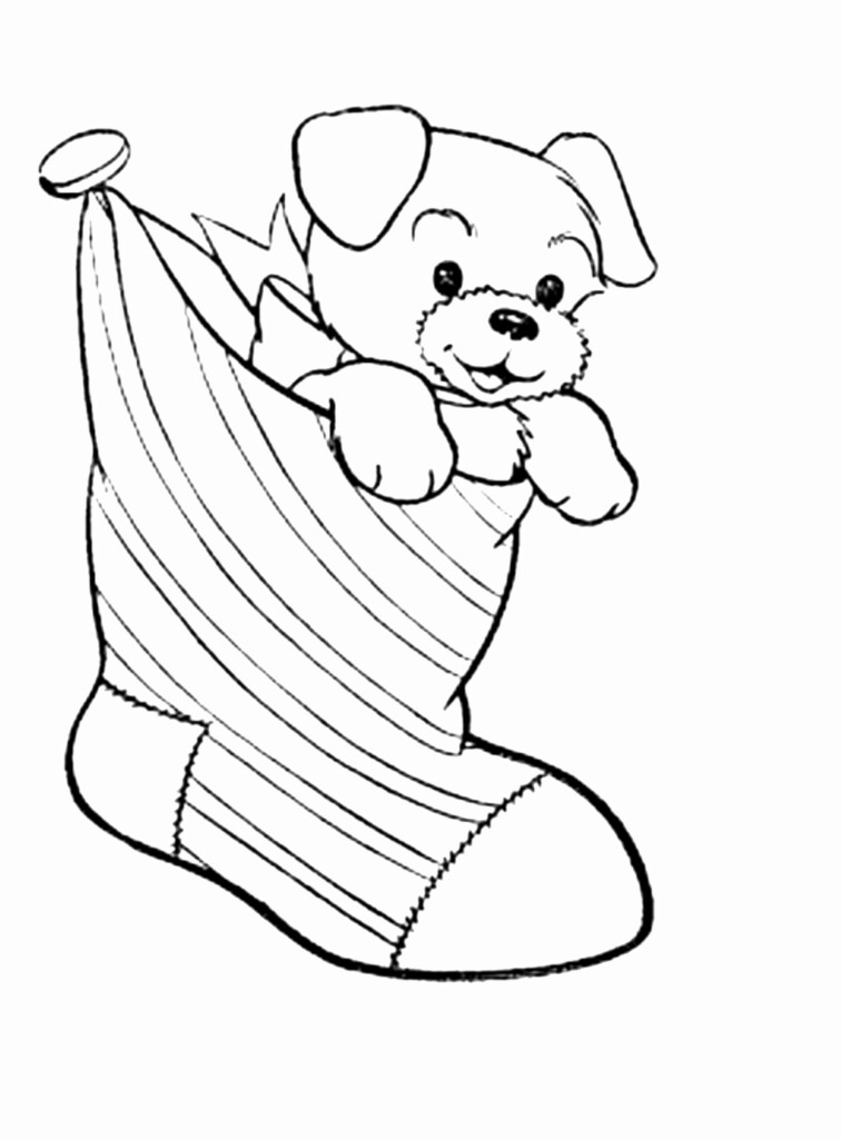Pomeranian Puppy Coloring Pages At GetColorings Free Printable Colorings Pages To Print