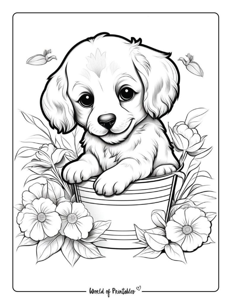 Puppy Coloring Sheet Puppy Coloring Pages Dog Coloring Page Coloring Pages