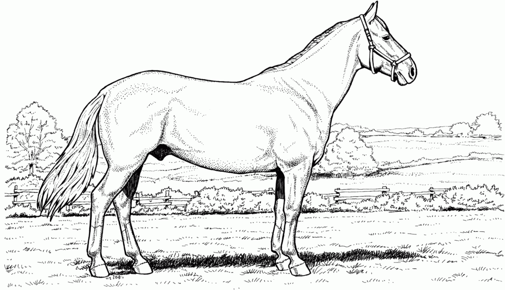 Undefined Horse Coloring Pages Horse Coloring Free Horses